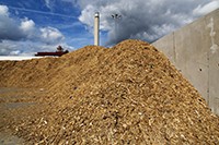 Bekijk details van Biomassa